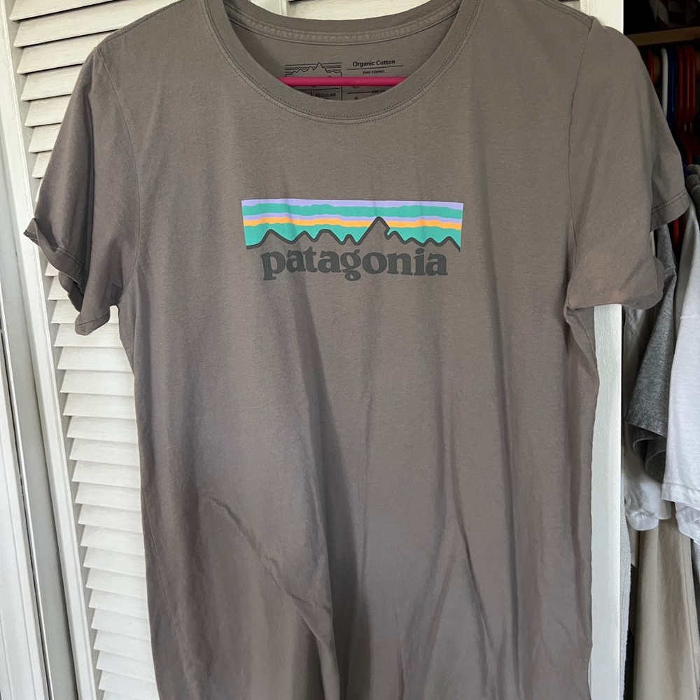 patagonia tee